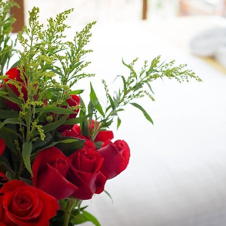 Ilalo Garden Hotel & Restaurant Quito Ngoại thất bức ảnh