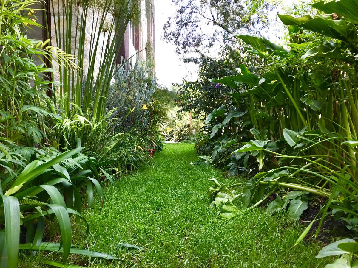 Ilalo Garden Hotel & Restaurant Quito Ngoại thất bức ảnh