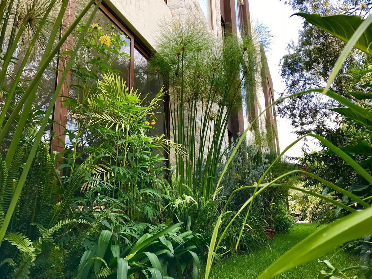 Ilalo Garden Hotel & Restaurant Quito Ngoại thất bức ảnh